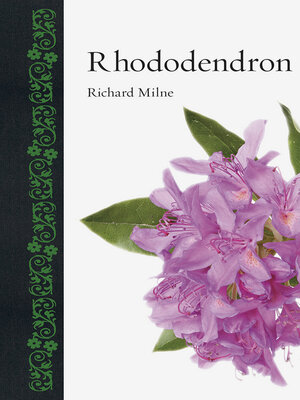 cover image of Rhododendron